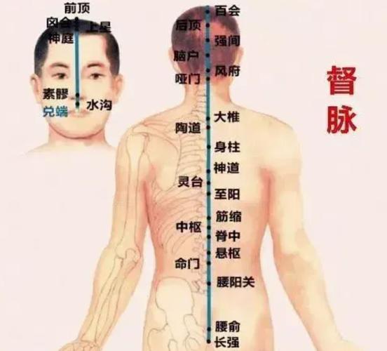 督脉刮痧刮哪些穴位