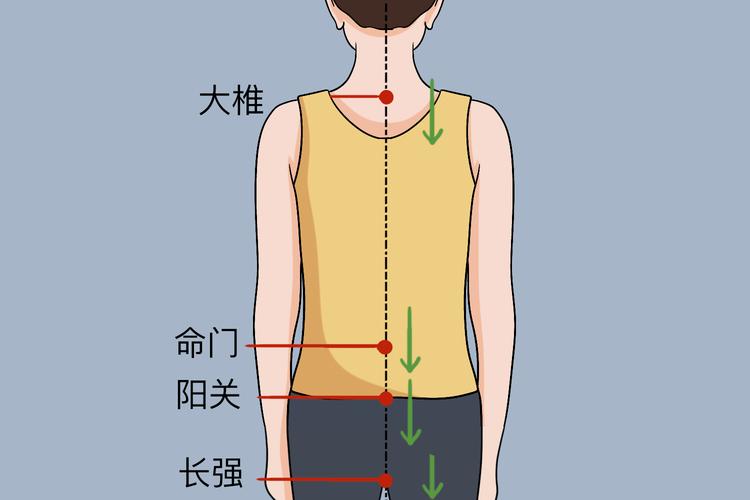 督脉刮痧刮哪些穴位