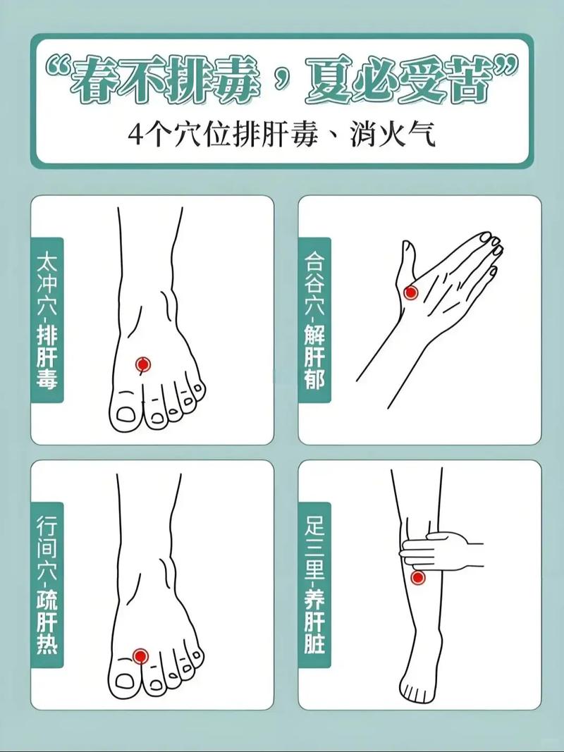 按摩 穴位 多囊肝