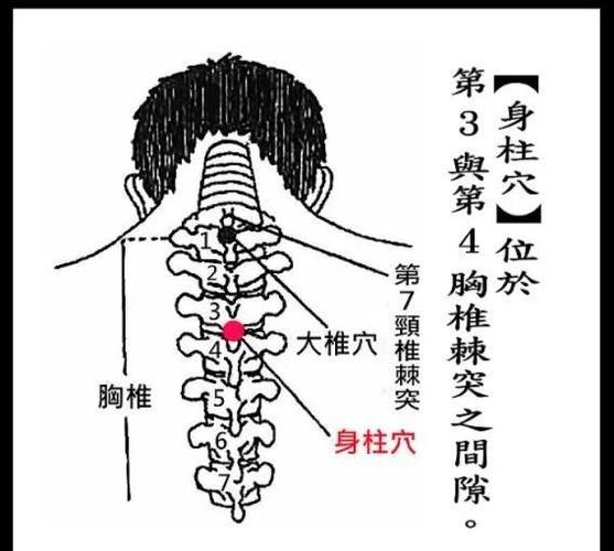 身柱穴位位置与功效
