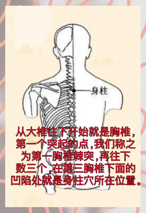 身柱穴位位置与功效