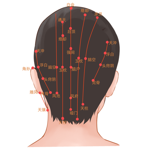 头晕按哪个穴位有效