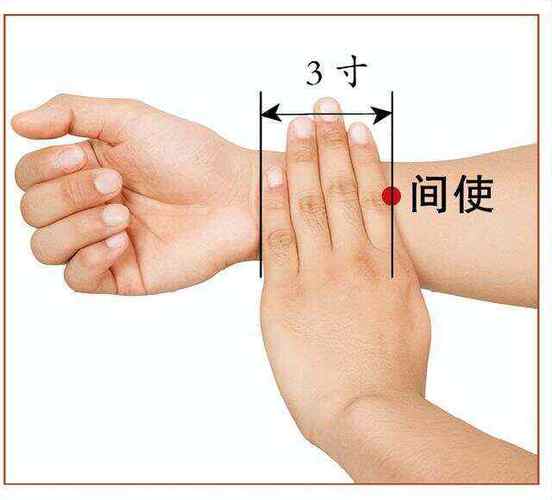 间使穴位位置及作用