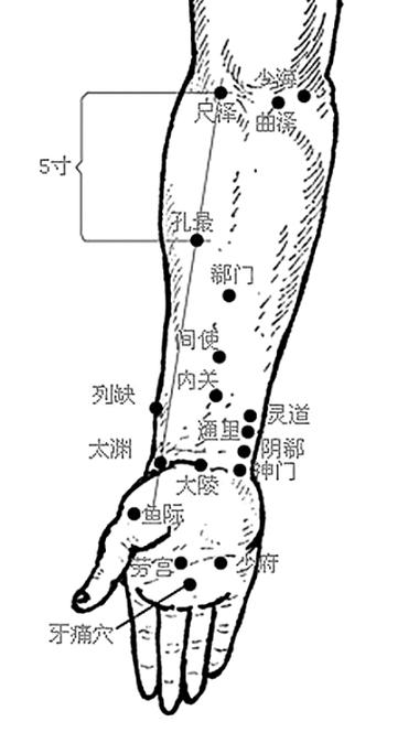 间使穴位位置及作用