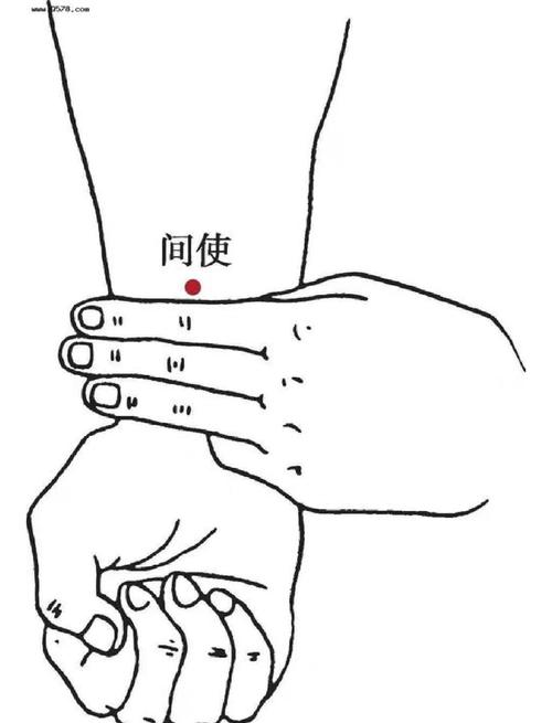间使穴位位置及作用