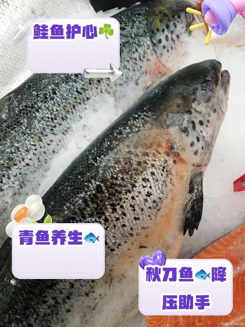 脑梗可以吃什么鱼最好