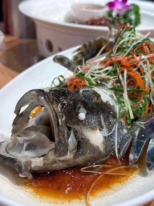 脑梗可以吃什么鱼最好