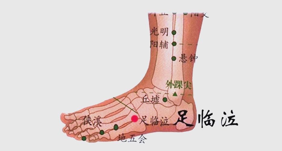 治疗近视的足部穴位