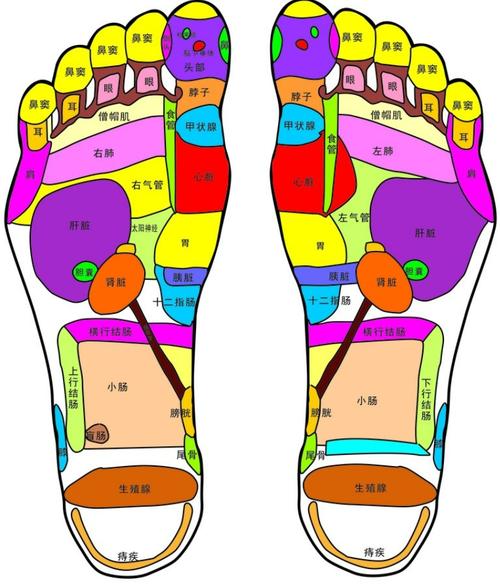 治疗近视的足部穴位