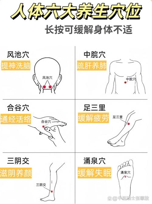 秋季按摩的保养穴位