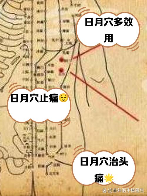 日月穴位背后的故事
