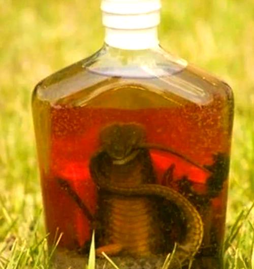 类风湿蛇酒用什么蛇好