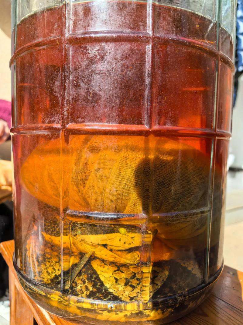 类风湿蛇酒用什么蛇好