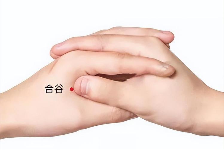 呕吐掐哪个穴位管用