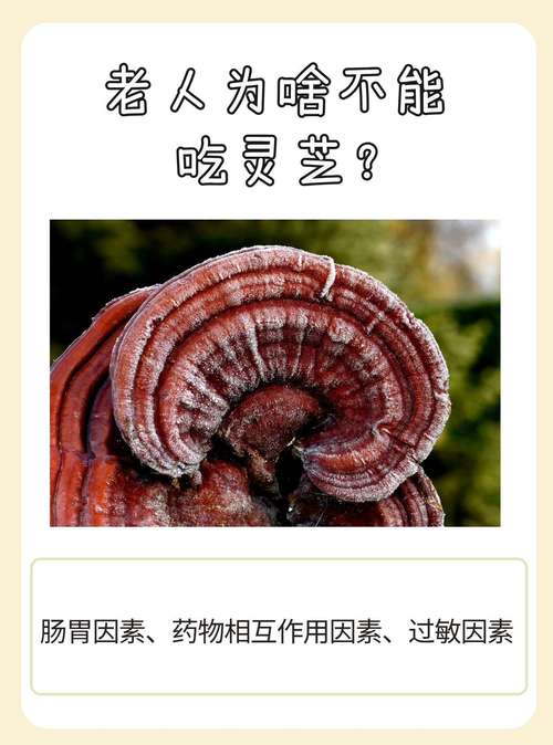 有脑梗的人能吃灵芝吗