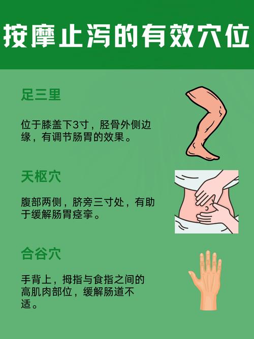 脾虚腹泻按哪个穴位