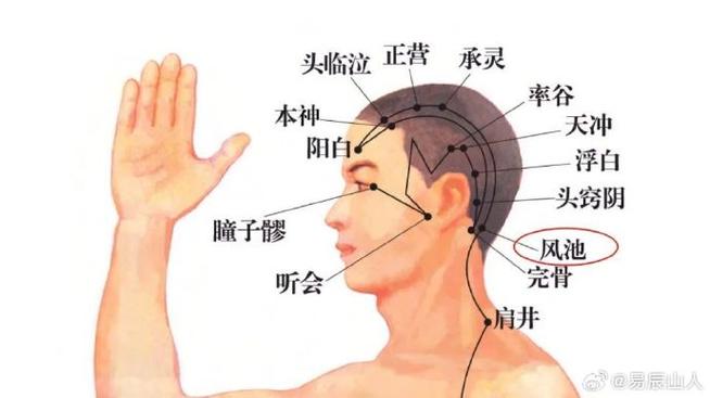 脑后门都有什么穴位