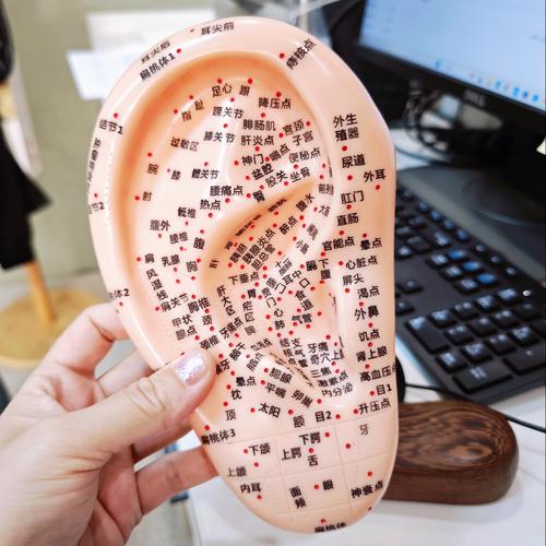 肾炎捏耳朵那个穴位