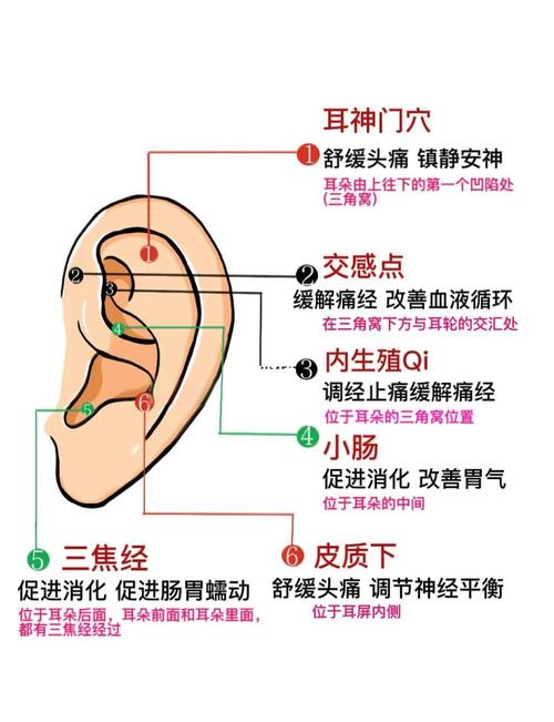肾炎捏耳朵那个穴位