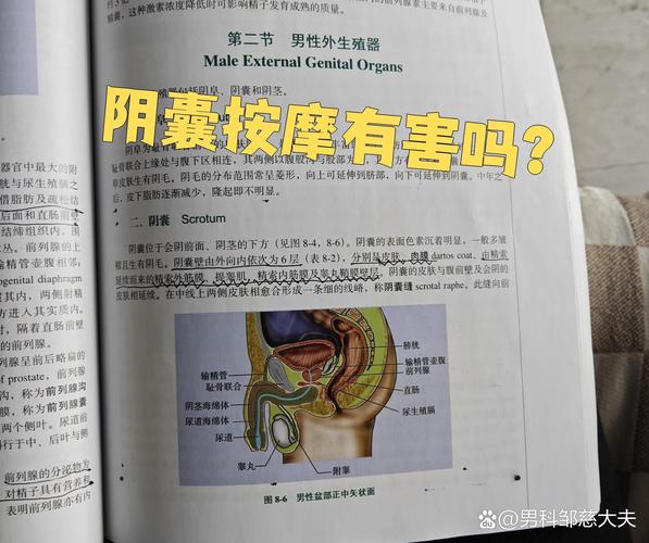 阴囊潮湿按什么穴位