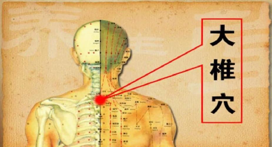 大椎疼按摩什么穴位