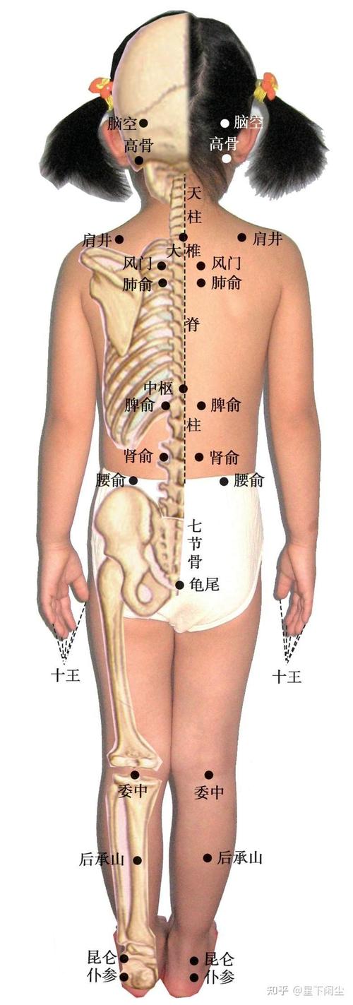 小孩脾胃虚弱艾穴位