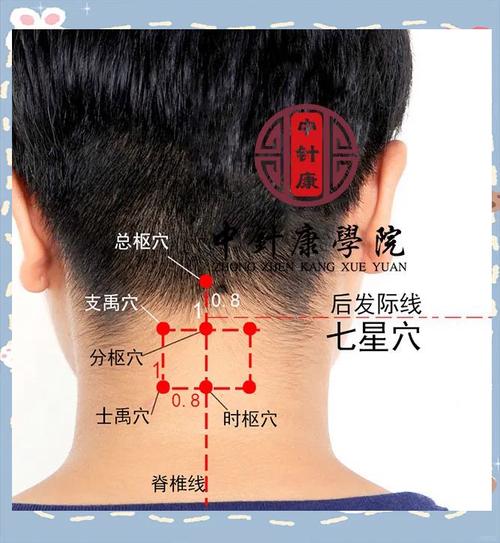 艾草治疗头痛的穴位