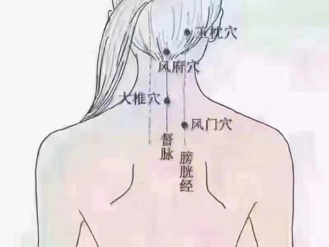 脖颈后凹陷部位穴位