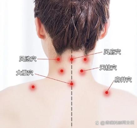 脖颈后凹陷部位穴位