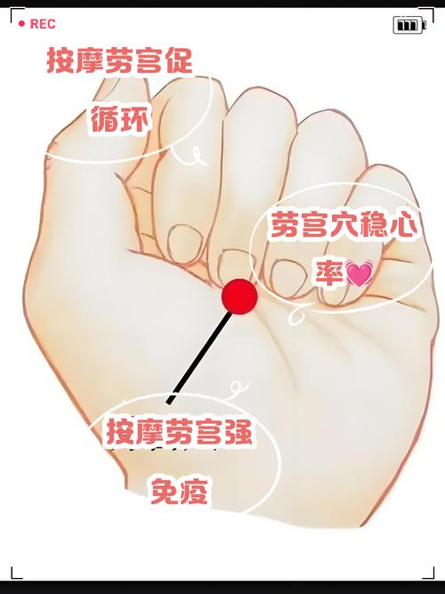 手穴位治疗卵巢早衰