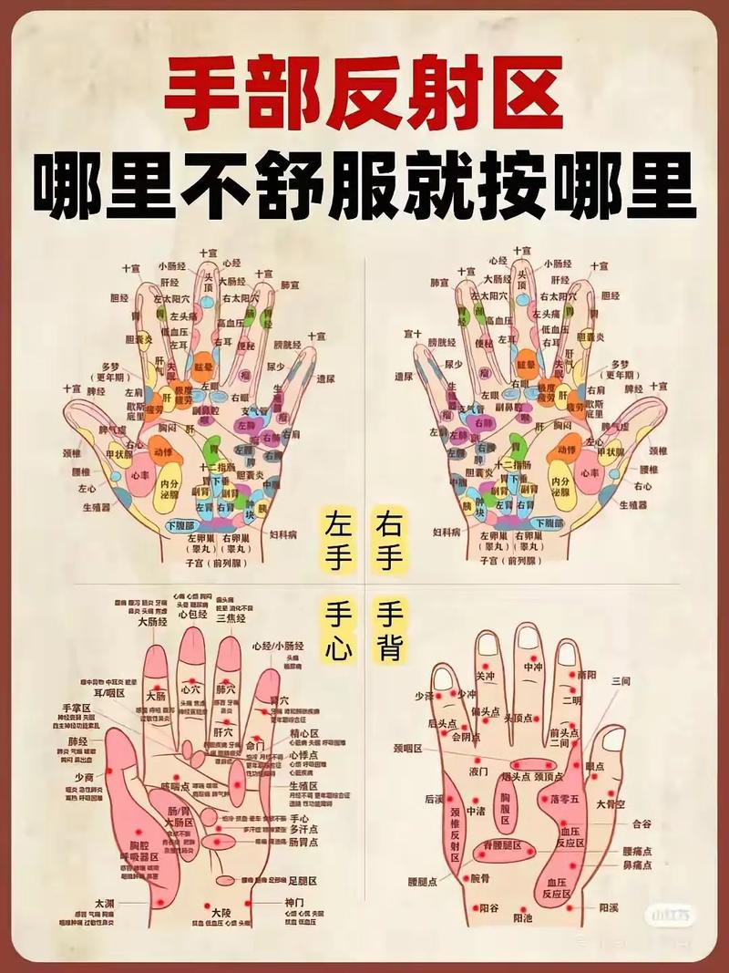 手穴位治疗卵巢早衰