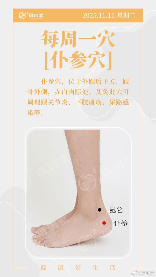 后脚踝上方什么穴位