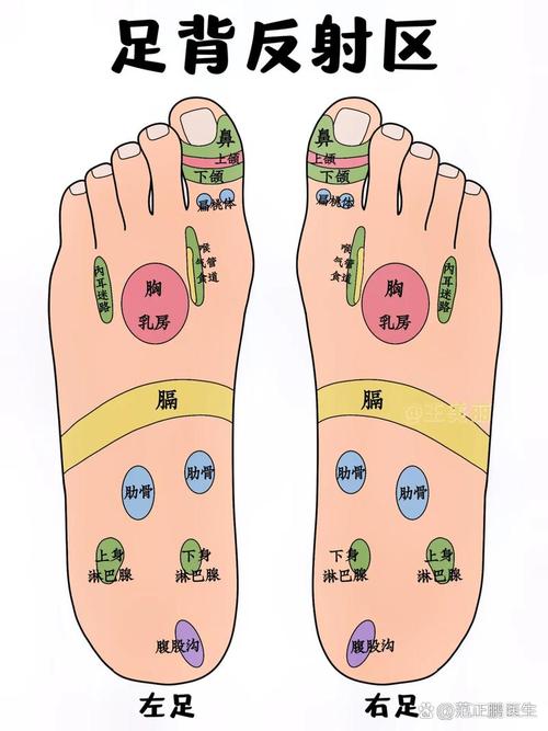 脚底有哪些重要穴位