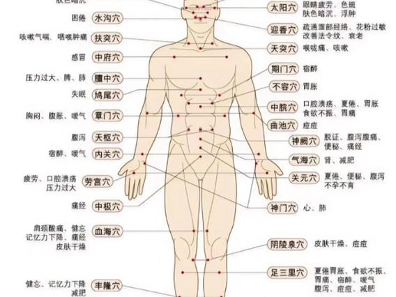 男性身体的每个穴位