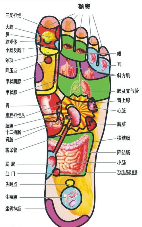 脚底哪个穴位对应腰
