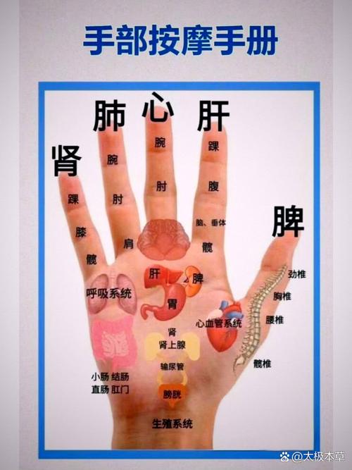 消除疲劳的手部穴位