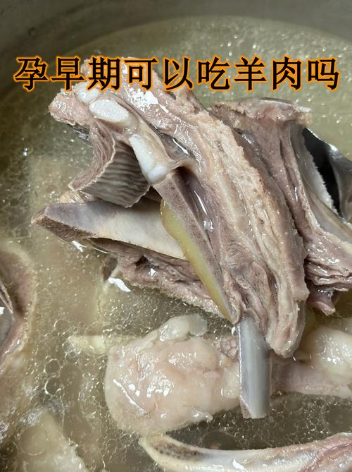 风湿病人可以吃羊肉吗