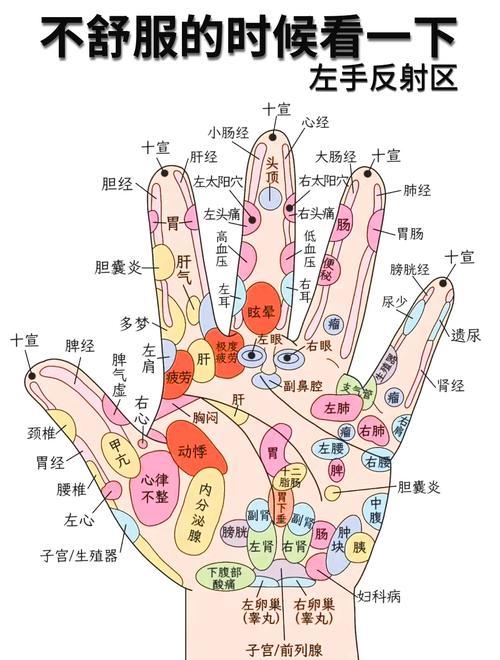 手指对应耳朵的穴位