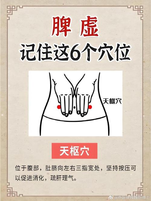 脾胃虚寒灸那个穴位