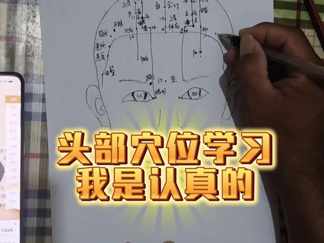 头部穴位表曲差在哪