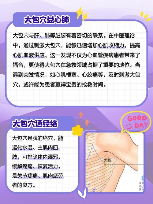 大包穴位的准确位置