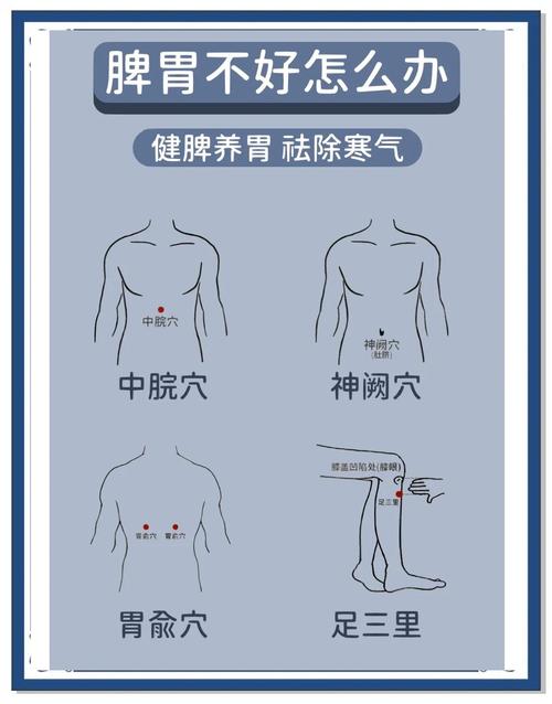 儿童脾虚按什么穴位