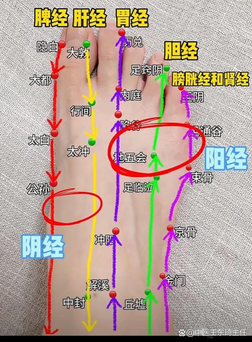 右脚无力按哪个穴位