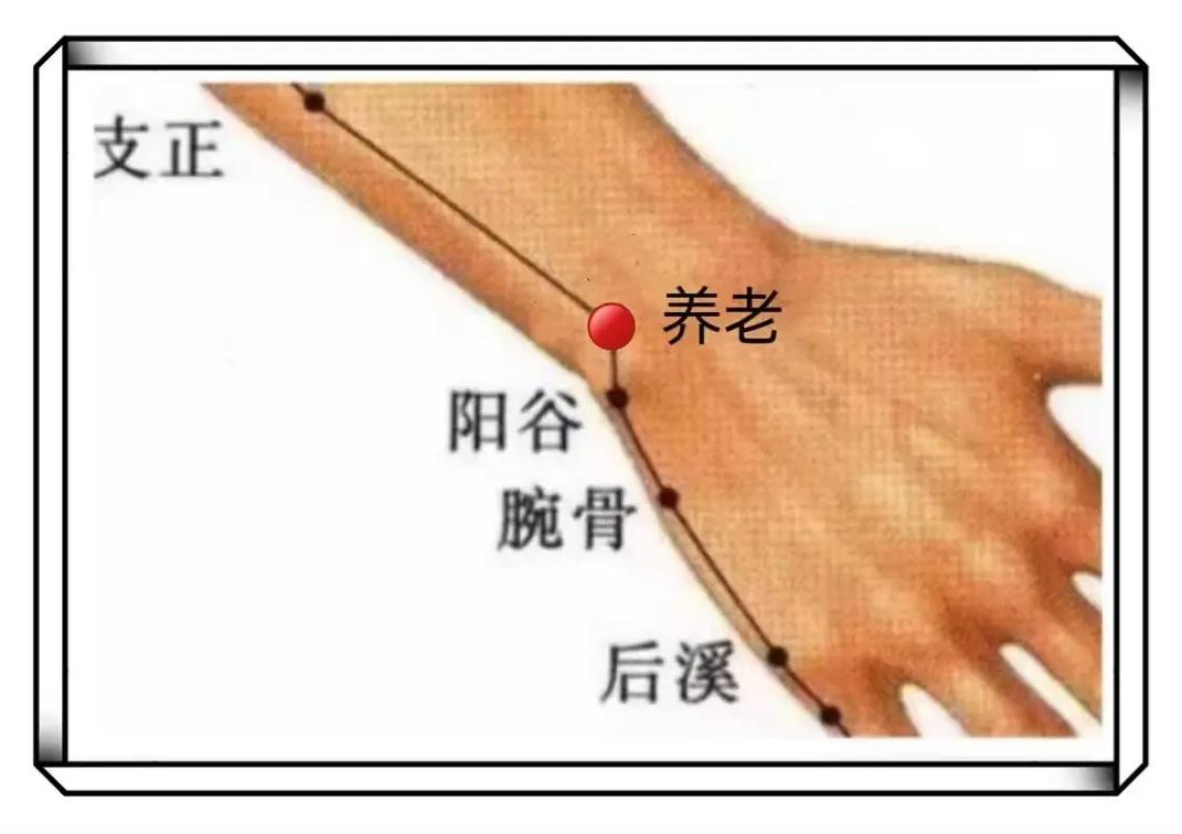 中医穴位图 养老穴