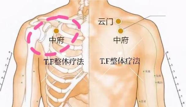 人体前胸华盖穴位图