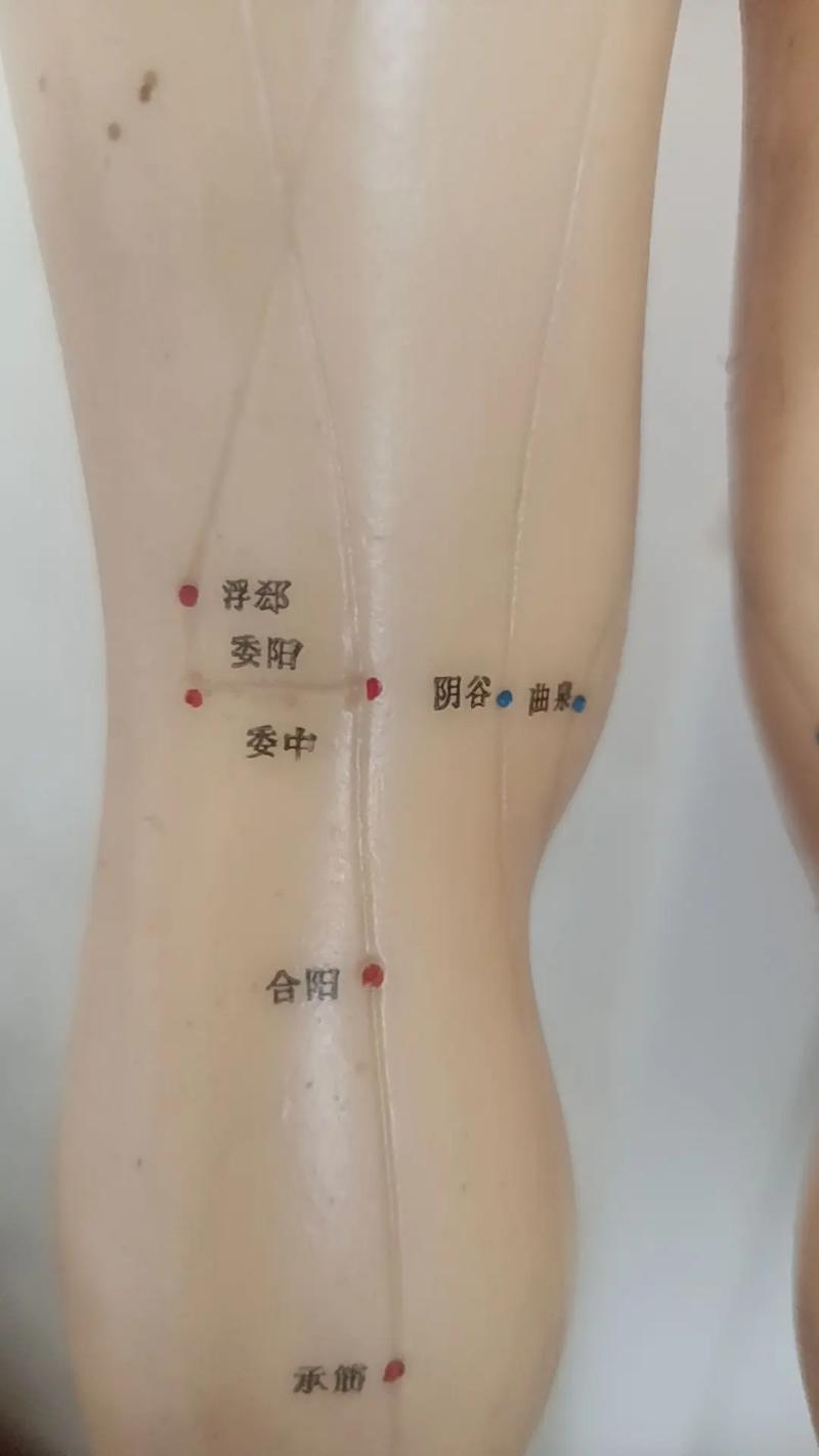 艾灸下肢冰冷的穴位