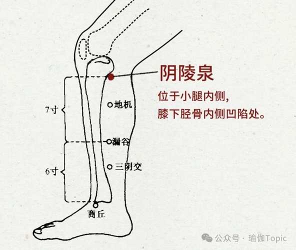 艾灸下肢冰冷的穴位