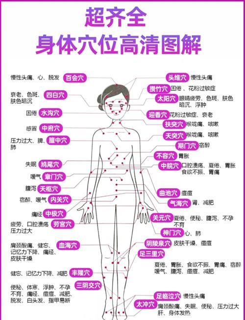 人体穴位图 天目前