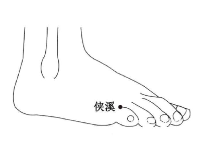 侠溪准确位置图穴位