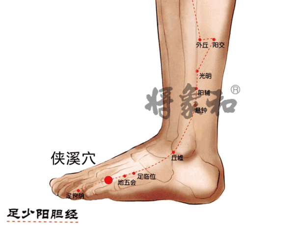 侠溪准确位置图穴位